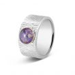 Zilveren Ring