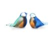 Urn Bird in diverse kleurschakeringen