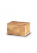 Houten Urn Terrybear