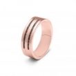Ring Staal