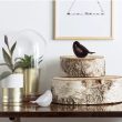 Songbird Keepsake Metaal Urn Zwart, Wit en Saffier blauw