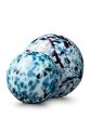 Urn Bulb Turquoise, Black & White