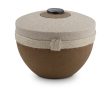 Biologische Urn Romana