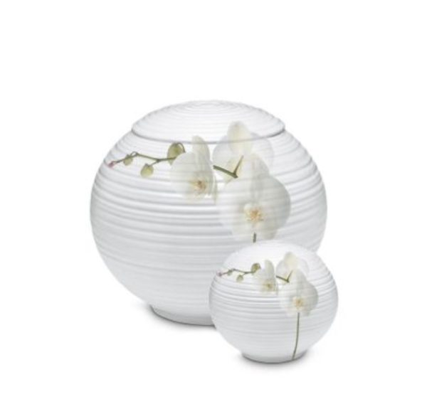Urn porseleinen Bol met een Orchidee of een andere bloem