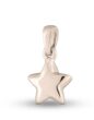 Hanger Ster small