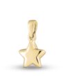 Hanger Ster small
