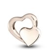 Hanger Dubbel Hart