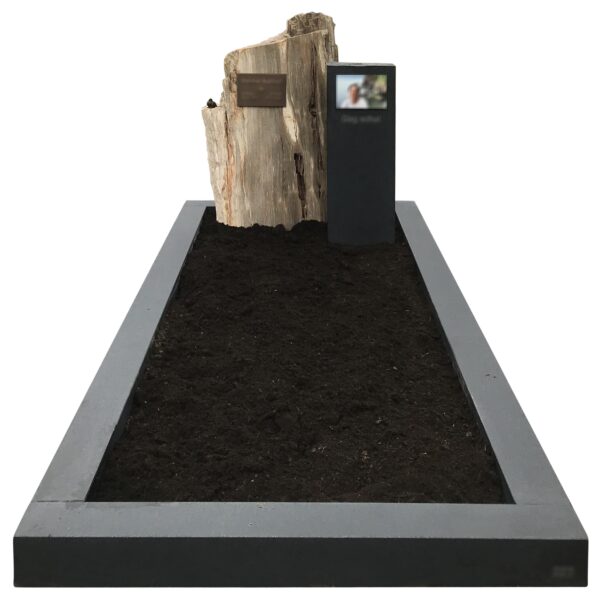 Versteend Hout