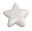 Keramische kunst Urn Keepsake Asteri in verschillende kleuren