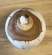 Handgemaakte Houten Mini Urn Taxus